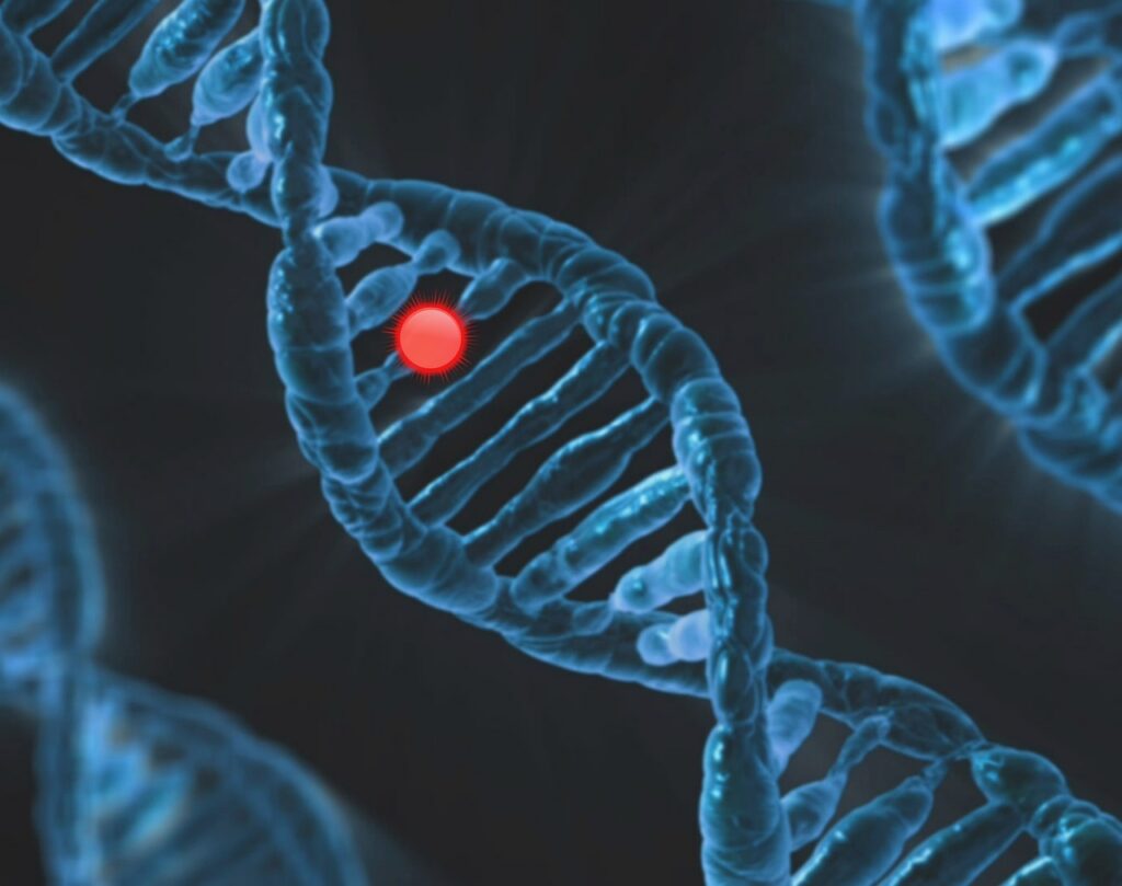 CELL CYCLE AND CELL DIVISION-chromosome