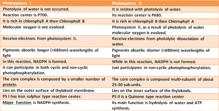 PHOTOSYNTHESIS IN HIGHER PLANTS-PHOTOSYSTEM-DIFFERENCE BETWEEN PS-I AND PS-II