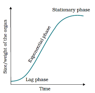 PLANT GROWTH AND DEVELOPMENT- GROWTH RATES- SIGMOID GROWTH