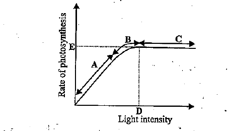 PHOTOSYNTHESIS IN HIGHER PLANTS- FACTORS AFFECTING PHOTOSYNTHESIS- LIGHT INTENSITY GRAPH