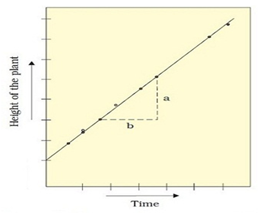 PLANT GROWTH AND DEVELOPMENT-GROWTH RATES- LINEAR GROWTH