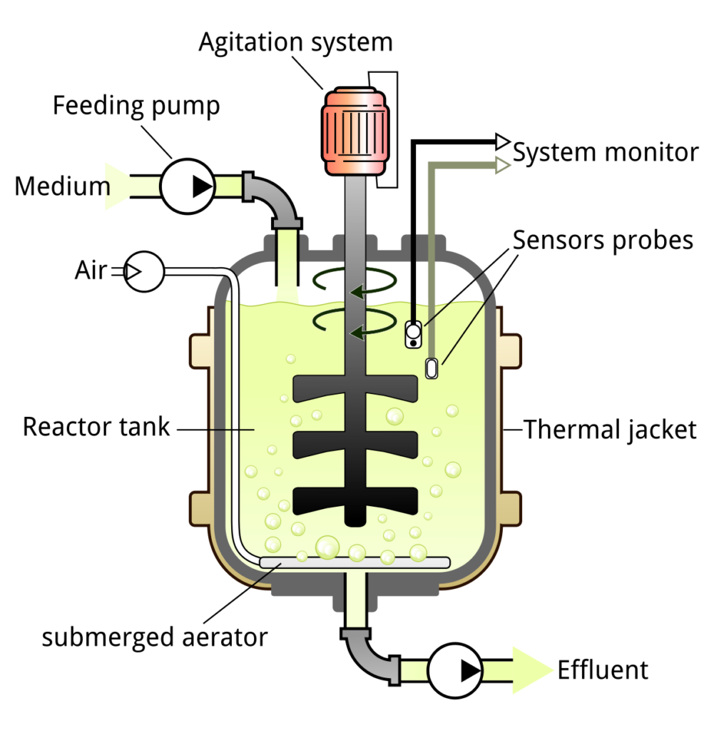 BIOTECNOLOGY: PRINCIPLE AND PROCESSES-SIMPLE STIRRED TANK