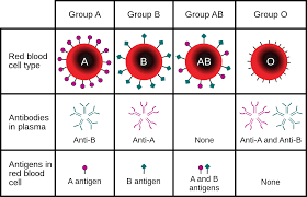 blood group