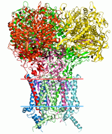 Human Genome Project-Bioinformatic