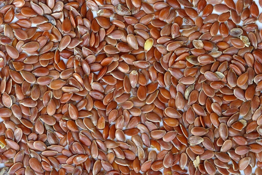 Parts of a fruit-Seeds