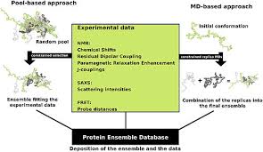 Structure of proteins-Structure of protein