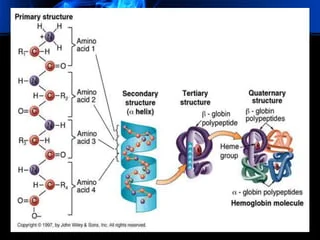 structure of proteins-Tertiary structure of protein