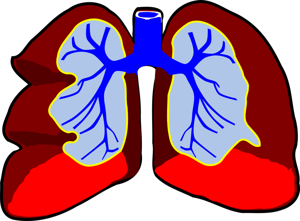 Explain Dalton's Law of Partial Pressures-Respiratory system of human