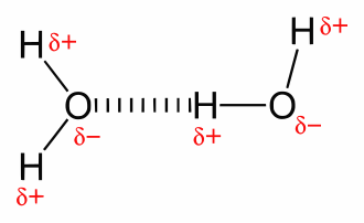 Intermolecular Forces vs Thermal Interactions-Hydrogen bonding in water