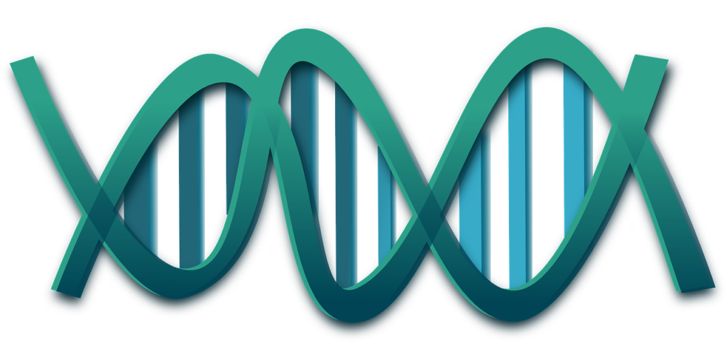 Intermolecular Force-double-helix structure of DNA.