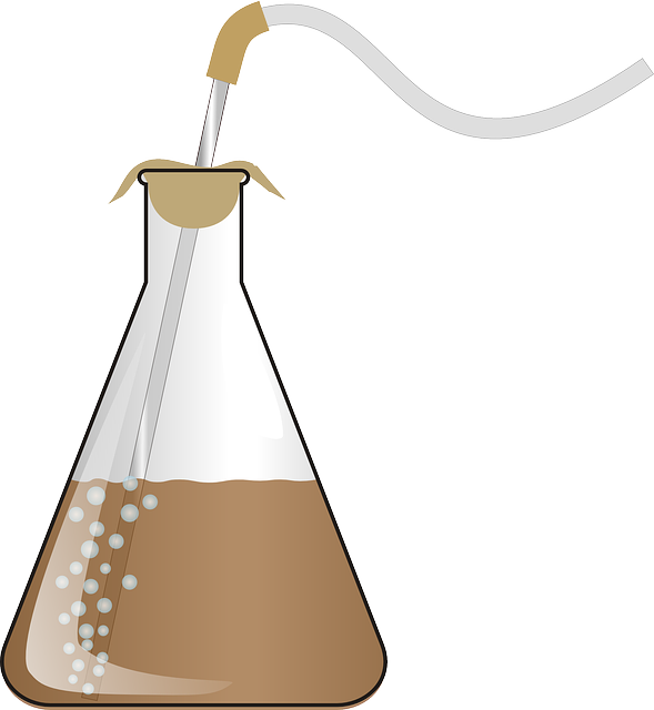 Equilibrium in Chemical Processes: Dynamic Equilibrium-chemical reaction
