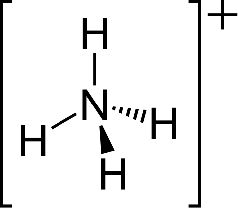 Heterogeneous Equilibrium-Ammonium