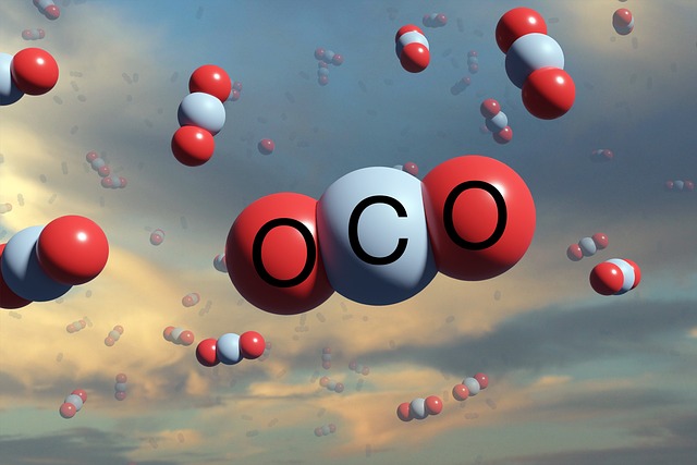 Qualitative Analysis of Organic Compounds-Carbon