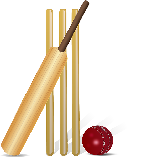 Quantitative Analysis-Cricket