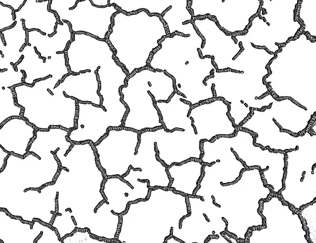 Stress-Strain Curve-Fractures pattern