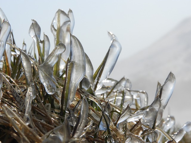 Abnormal Molar Masses-Freezing point