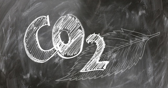 SN1 and SN2 Reactions-Carbon