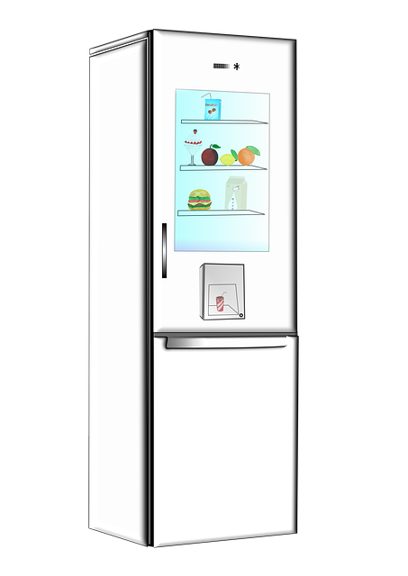 Refrigerators and Heat Pumps-Refrigerator