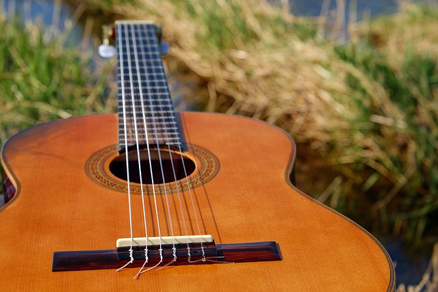 Force Law for Simple Harmonic Motion (SHM) -Guitar