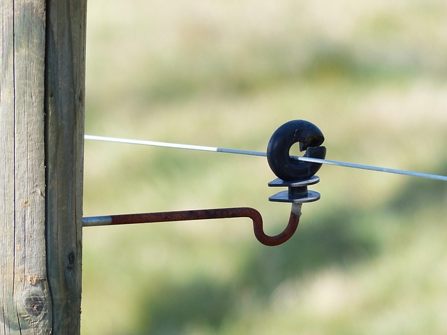 Dielectrics and Polarization-Insulator