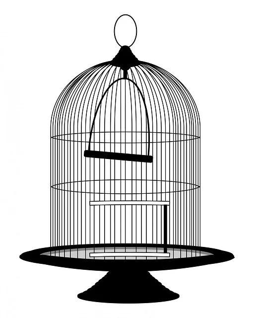Collecting Action of a Hollow Conductor-Faraday cage